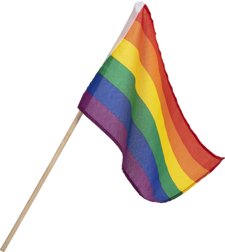 Regnbue Håndflagg 20x30cm