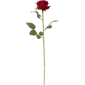 Stilk Rose H51cm