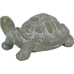 Turtle B28cm