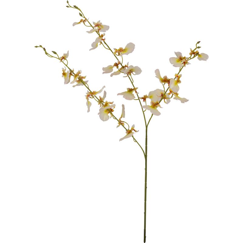 Stilk orkide H64cm